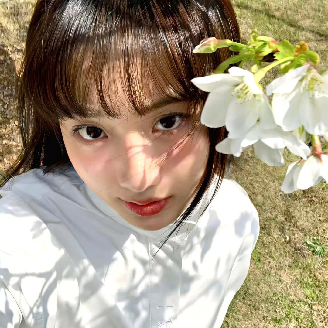 酱狗