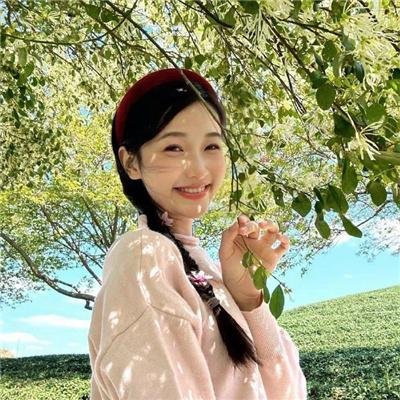 莲花太子
